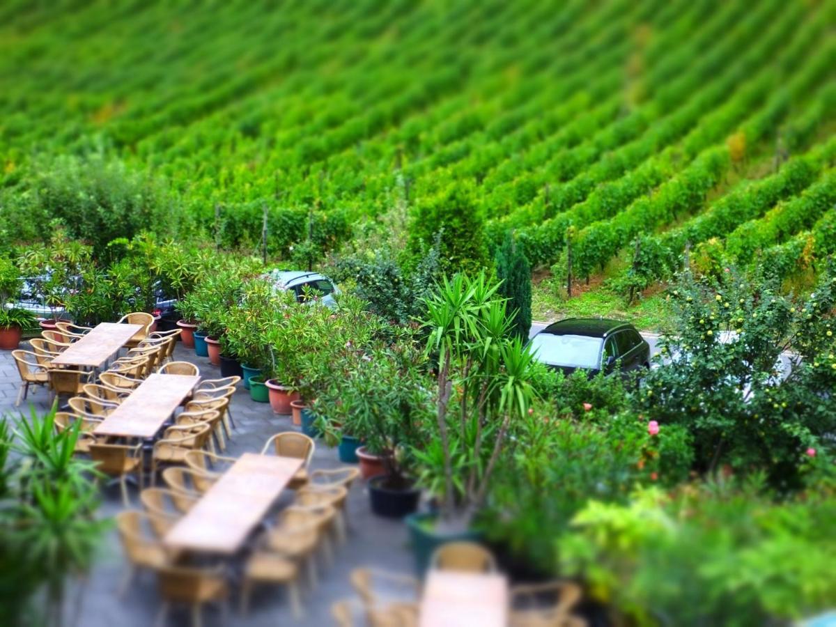 Weingut Und Hotel Haus Am Drachenloch Бад-Хоннеф-на-Рейне Номер фото