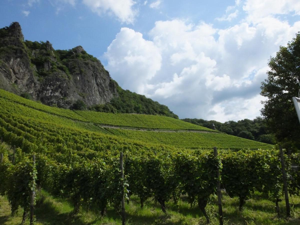 Weingut Und Hotel Haus Am Drachenloch Бад-Хоннеф-на-Рейне Экстерьер фото