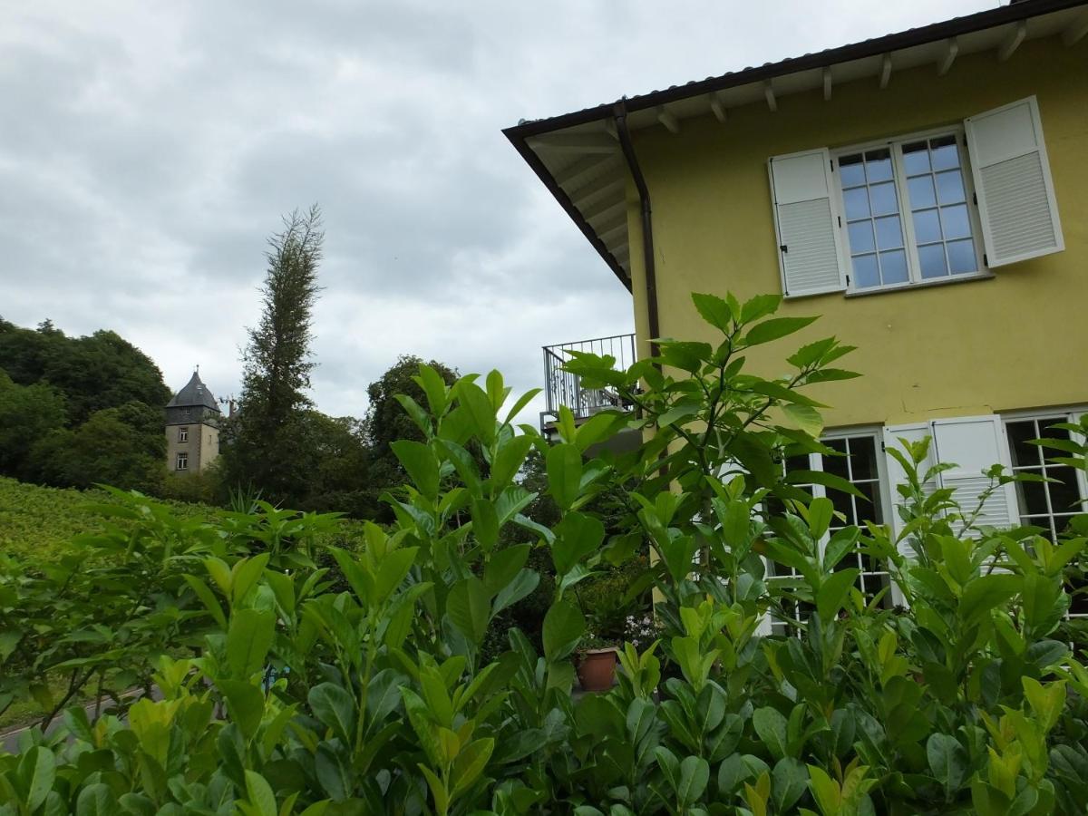 Weingut Und Hotel Haus Am Drachenloch Бад-Хоннеф-на-Рейне Экстерьер фото