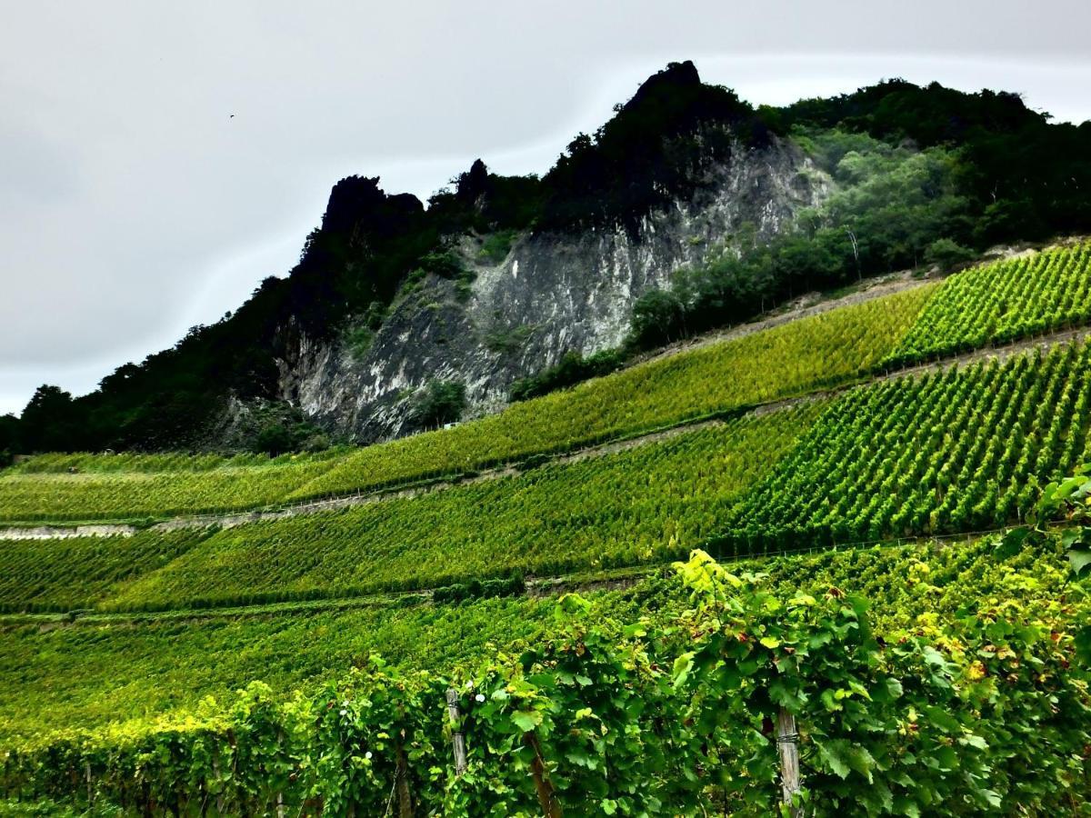Weingut Und Hotel Haus Am Drachenloch Бад-Хоннеф-на-Рейне Экстерьер фото